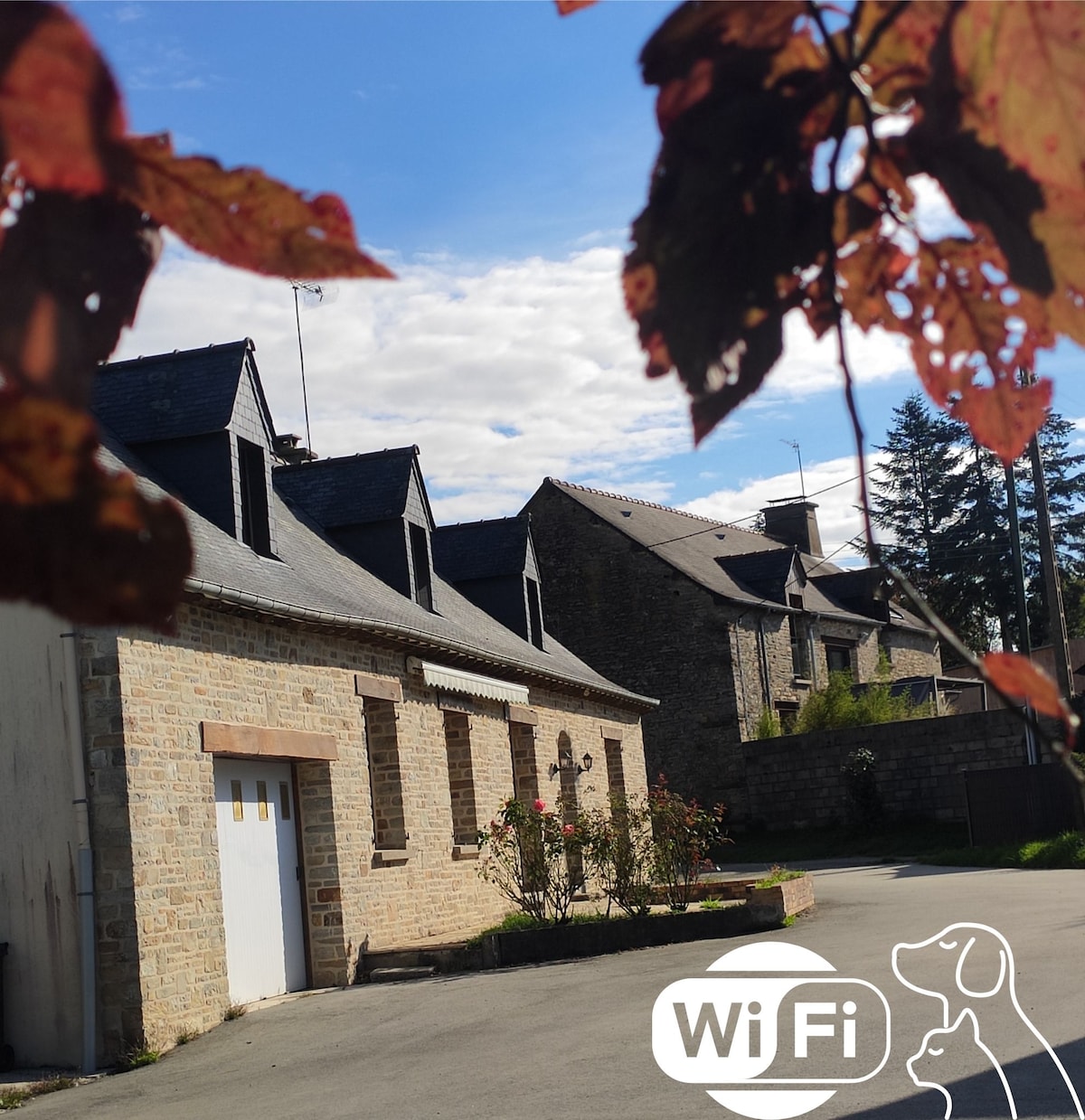 A cluster of stone buildings is depicted, showcasing a mix of rustic architecture and well-maintained exteriors. A driveway leads up to the entrance, framed by greenery and autumn leaves. Symbols indicating WiFi availability and pet-friendliness can be seen in the foreground.