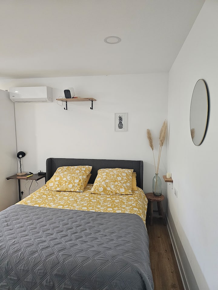 Studio "P&g Expérience" - Gaillac