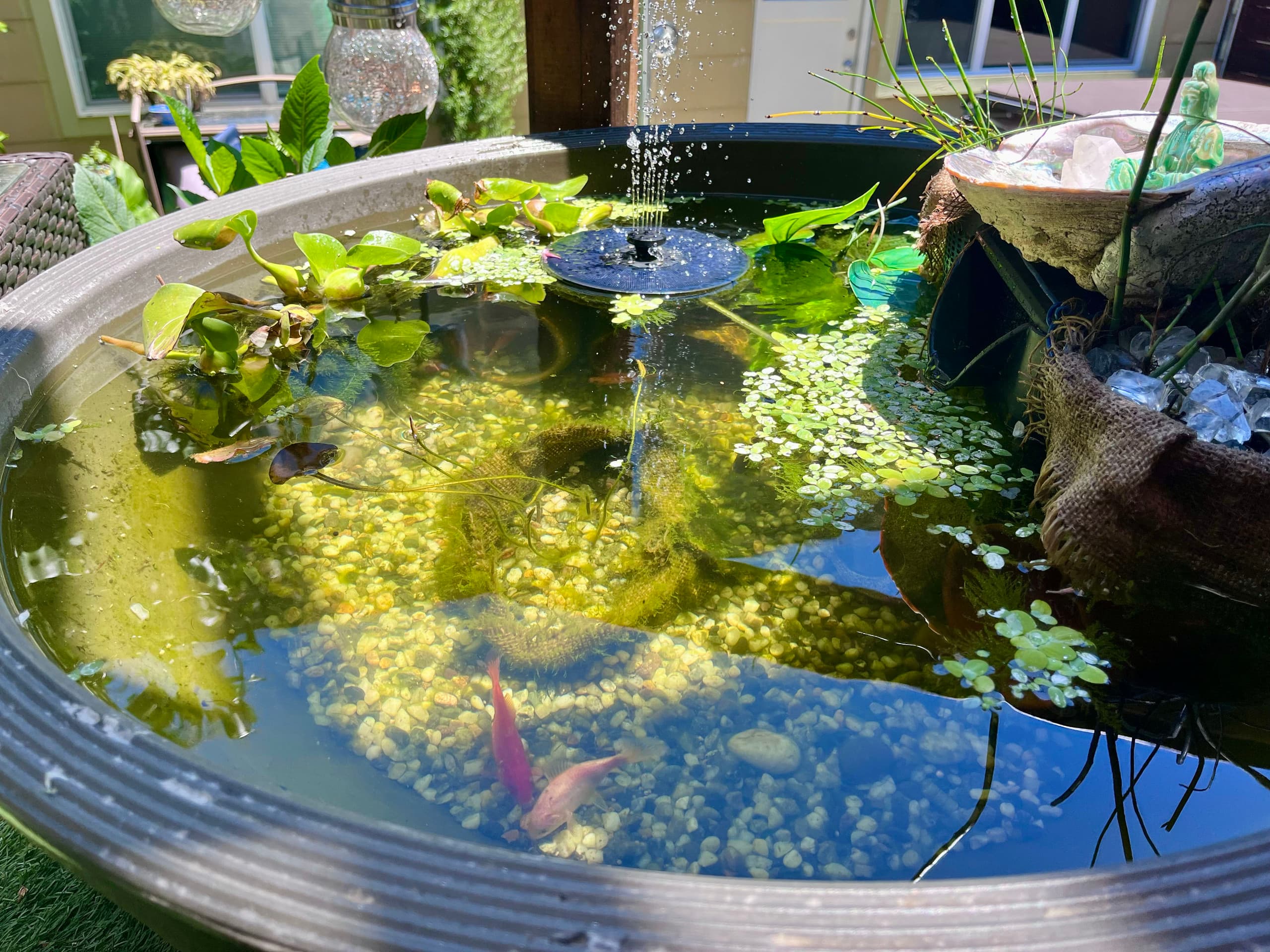 Artist's garden retreat and spa - Image 48
