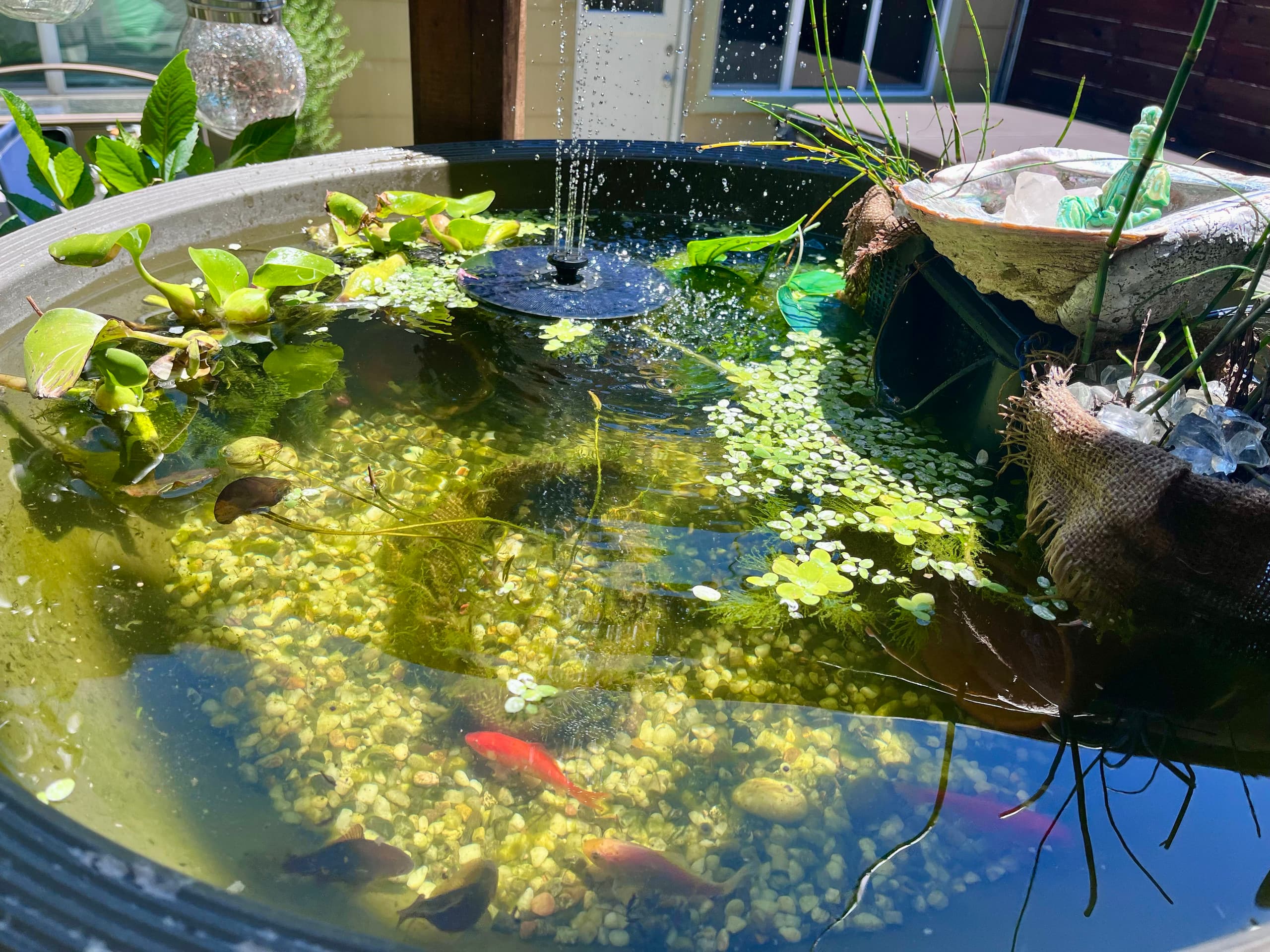 Artist's garden retreat and spa - Image 47
