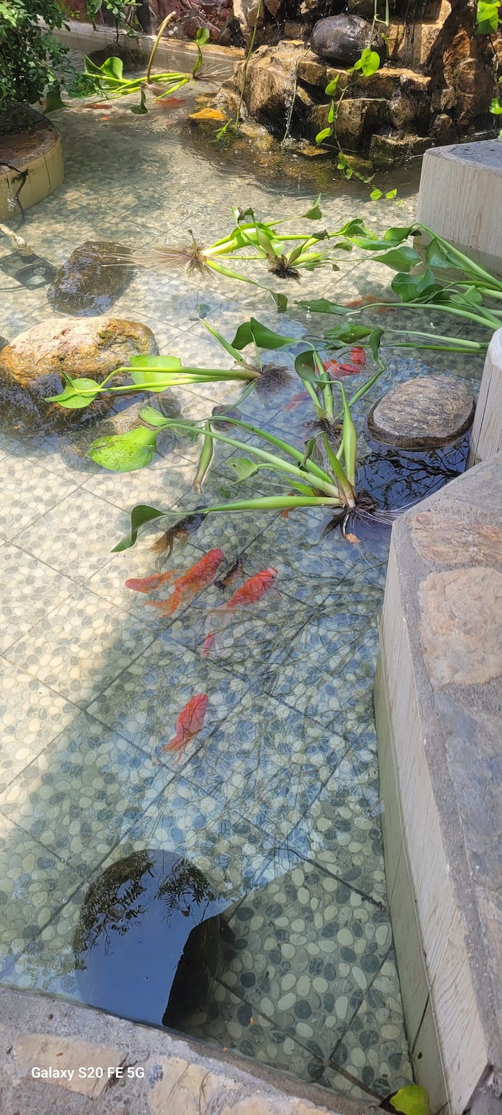 Всекидневна зона