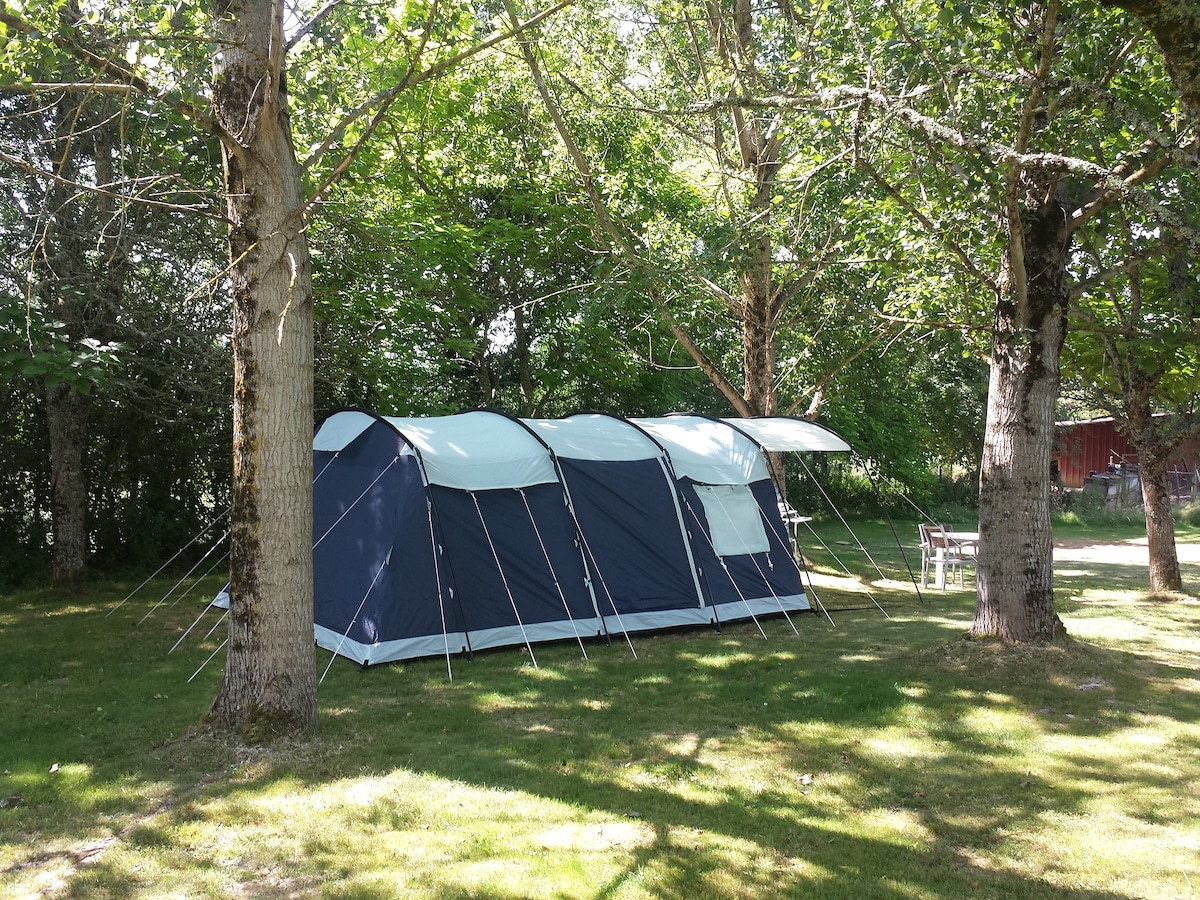 A large rental tent is set amidst a grassy area, surrounded by tall trees providing shade. The tent features a blue and white exterior, with multiple entrances and windows, and is anchored securely to the ground.