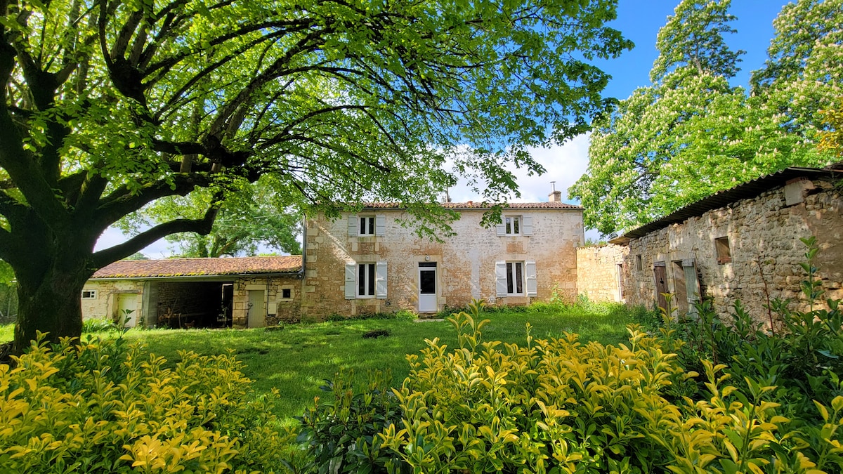 A rustic house is framed by lush greenery and large trees, with sunlight filtering through their leaves. The structure features white walls and several windows, while vibrant yellow shrubs contrast with the greenery surrounding the property.
