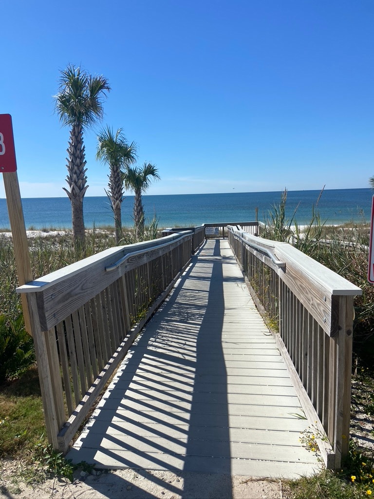 A wooden boardwalk leads towards the sandy beach, flanked by potted palm trees and coastal vegetation. The ocean stretches into the distance, with a clear blue sky above, creating a serene and inviting pathway to the shore.