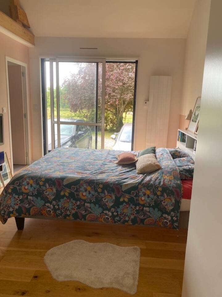 მთავარი ფლიგელი