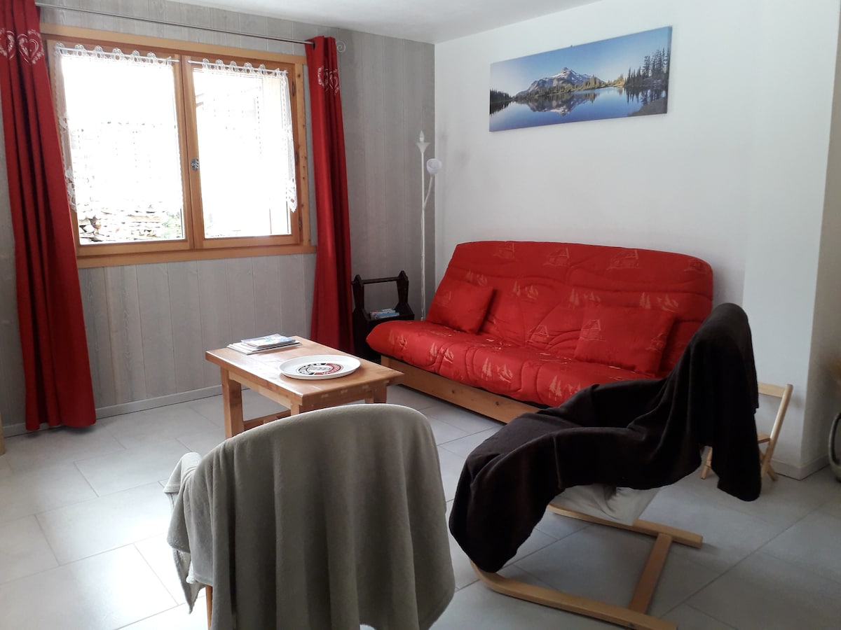 Top performing Airbnb: Pleasant ground floor in Le Grand Bornand