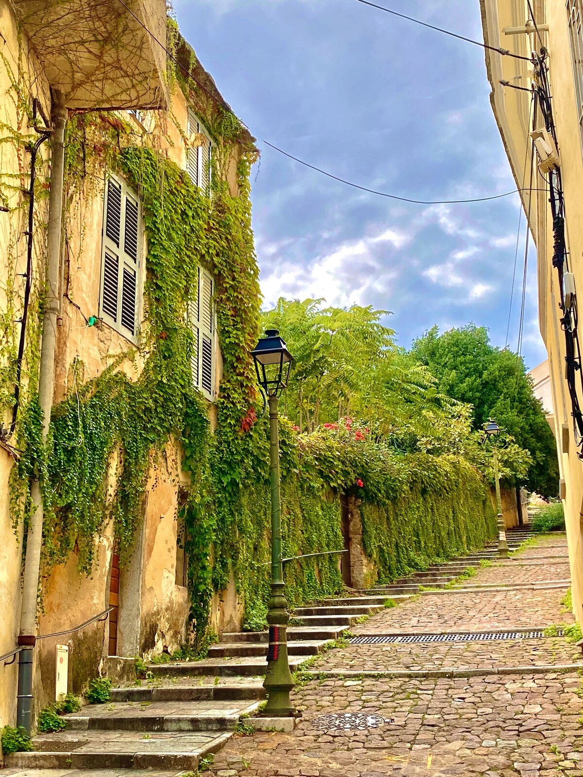A narrow, cobblestone street is flanked by buildings adorned with climbing green vines. A classic streetlamp stands along the path, which gently ascends to reveal a lush, tree-filled backdrop under a partly cloudy sky.