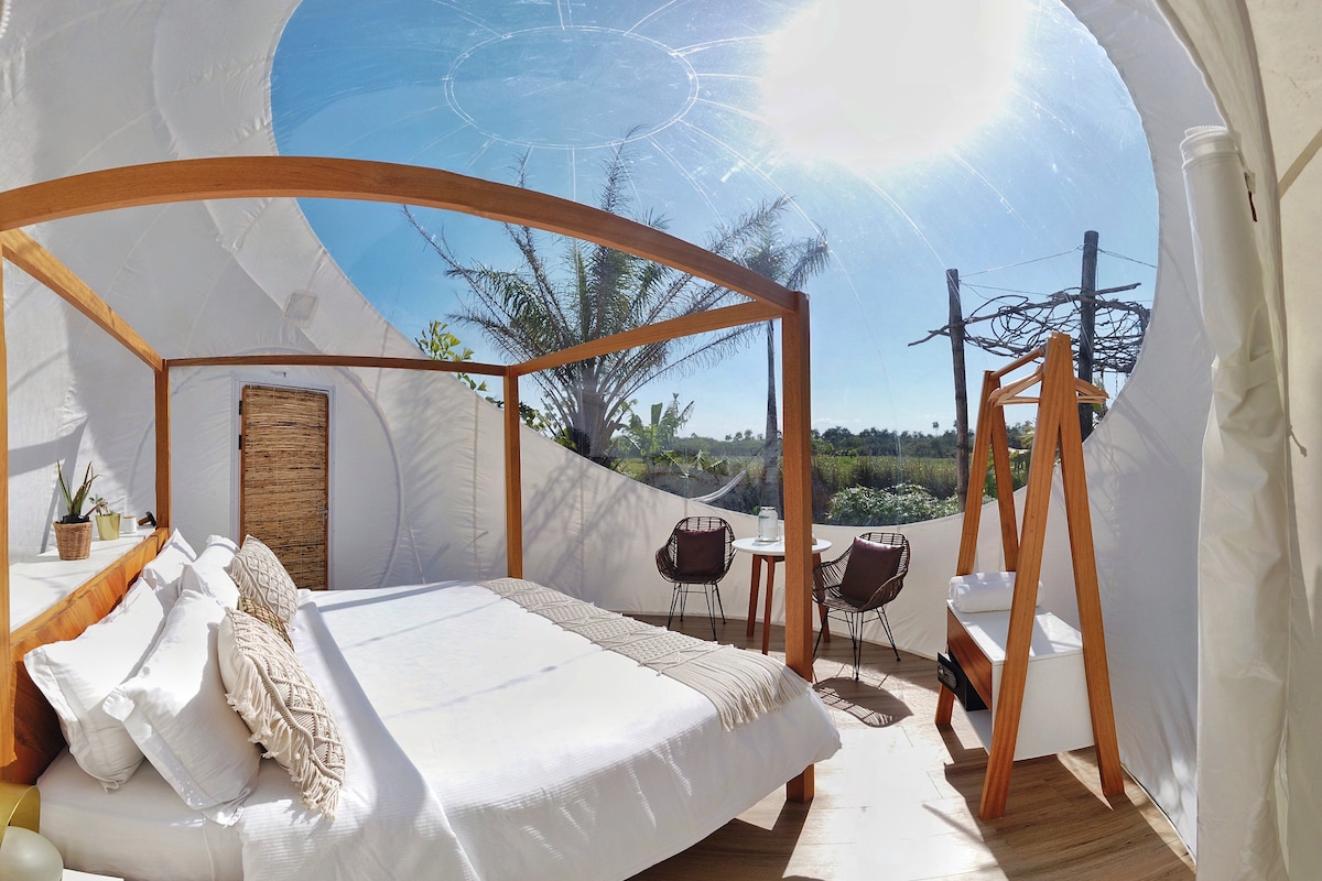 A spacious sleeping area showcases a king-sized bed with neutral linen bedding. Panoramic views are offered through a large circular window, allowing natural light to fill the space. A seating area features two chairs and a small table, surrounded by greenery visible outside.