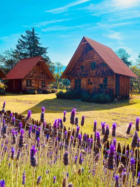 Ecotouristica cabins