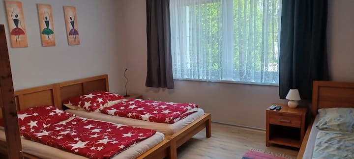 חדר 5 - הוא חלק מדירה גדולה. הם חולקים מטבח וחדר אוכל עם חדר 6. 