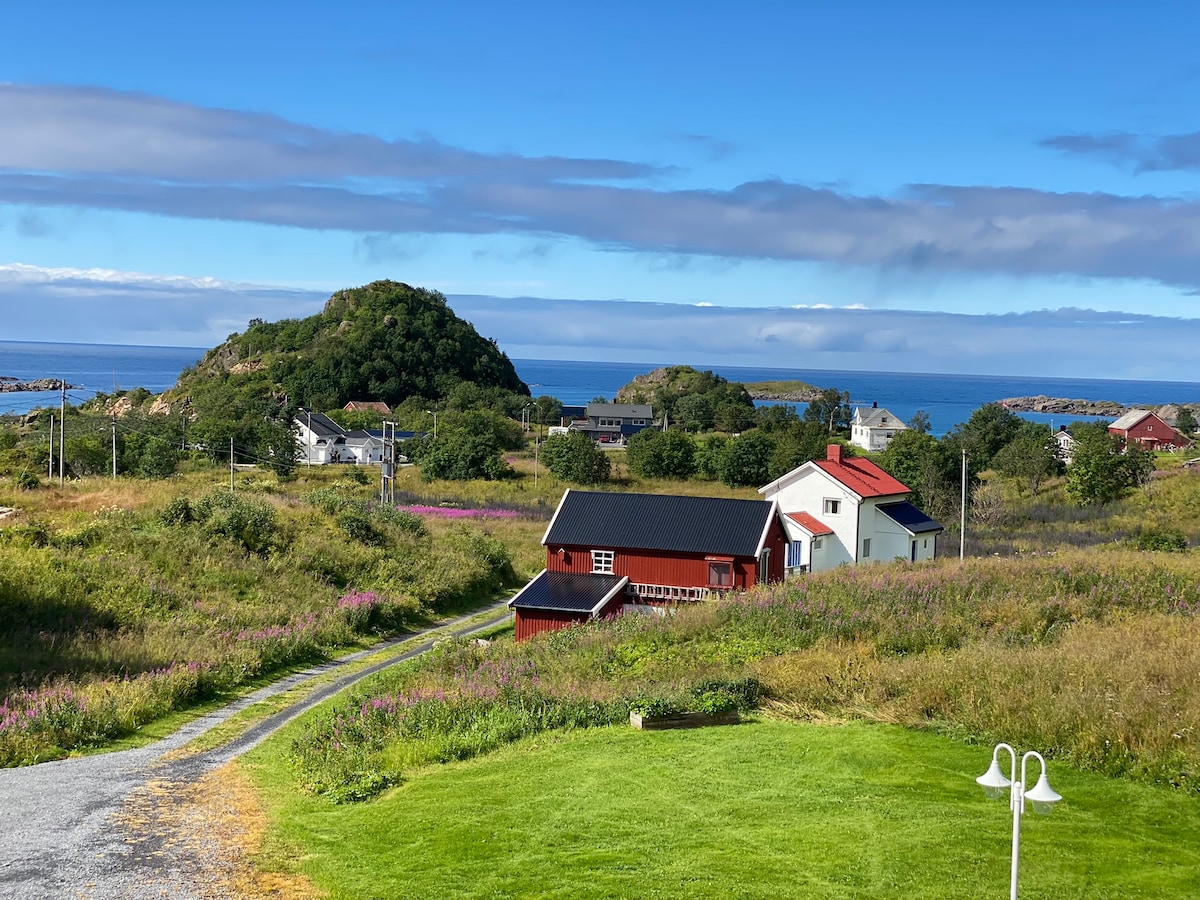 A scenic view of a coastal landscape is presented, featuring a red cottage surrounded by green fields and colorful flowers. The ocean is visible in the distance, with rolling hills and scattered homes enhancing the tranquil atmosphere.