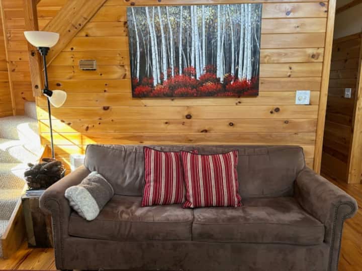 “Little Red Cabin” In The Woods (Coolfont) - Berkeley Springs, WV