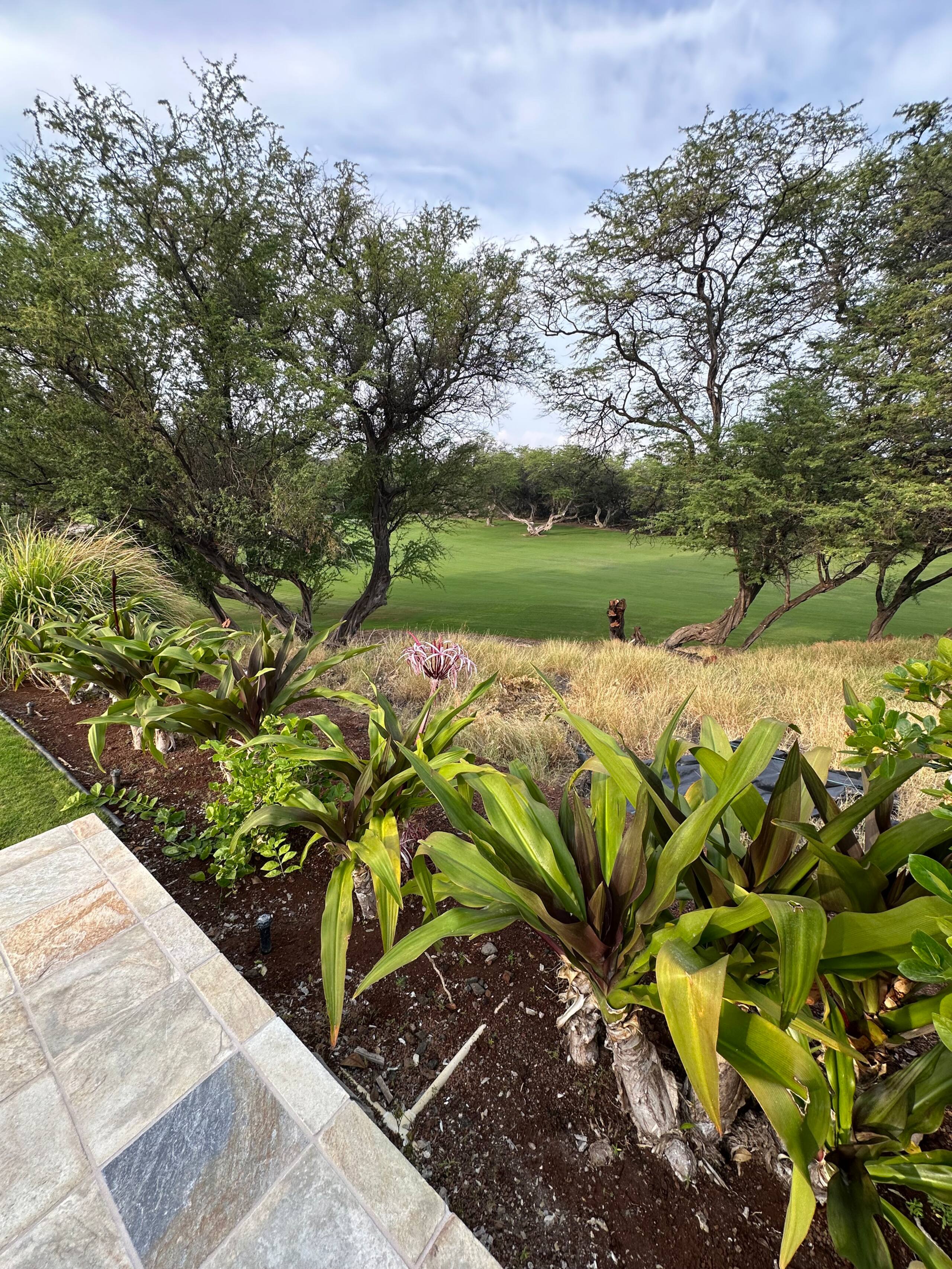 Home in Waimea · ★4.97 · 3 bedrooms · 4 beds · 3.5 baths - Image 57