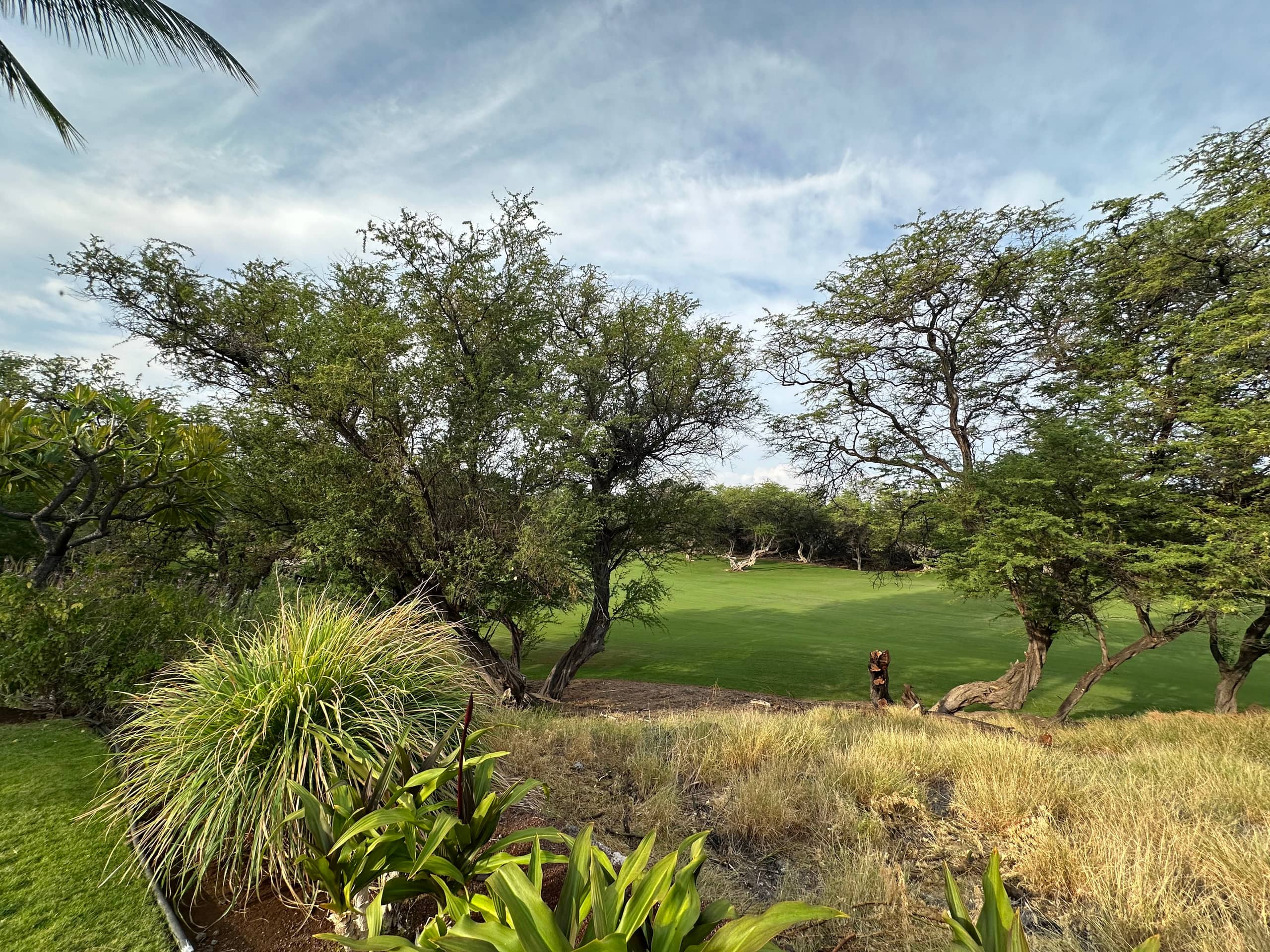 Home in Waimea · ★4.97 · 3 bedrooms · 4 beds · 3.5 baths - Image 58