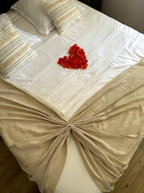 Cozy apartment with sauna and jacuzzi, 5 minutes from Nancy