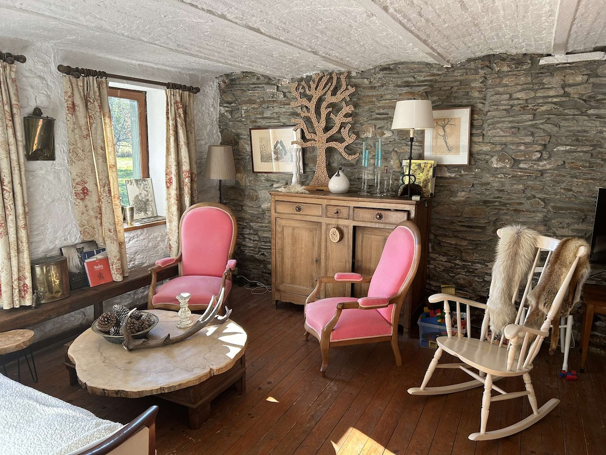 Top performing Airbnb: Charming house in La Roche En Ardenne