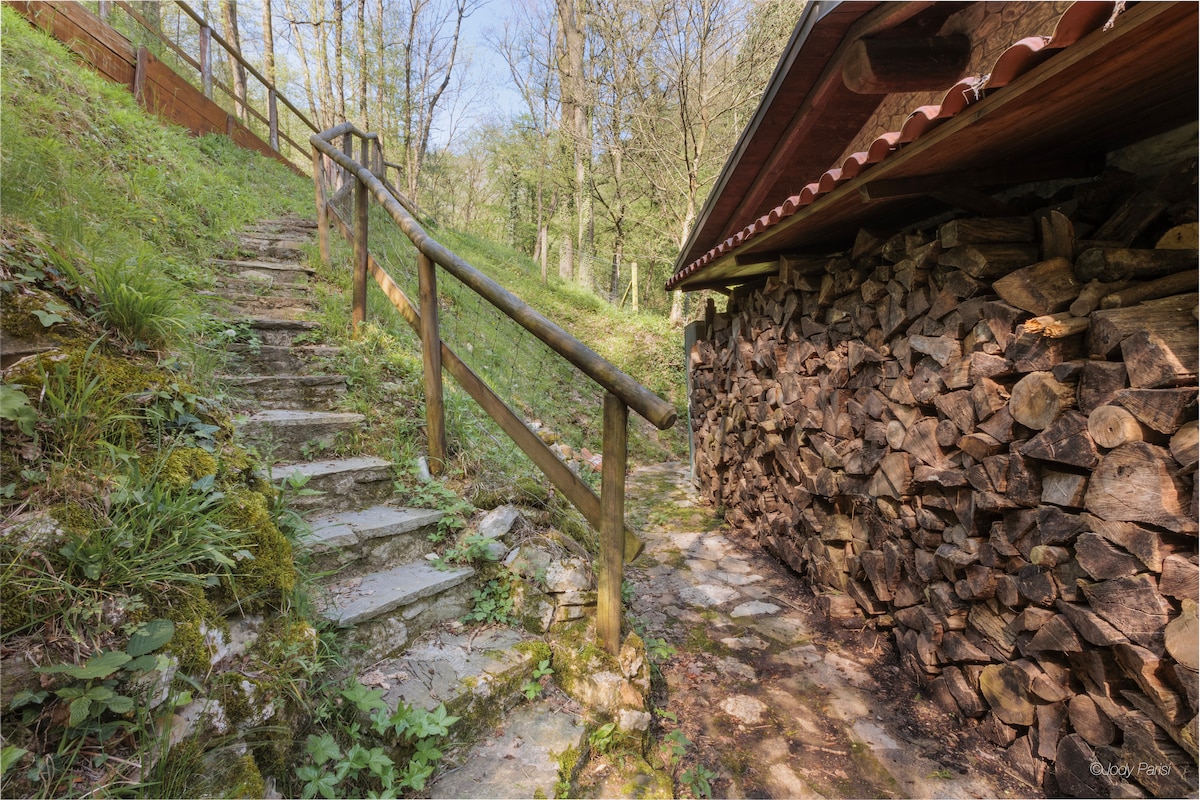 A stone path leads up a slight incline, bordered by a wooden railing. A stacked woodpile is visible beside the path, with dappled sunlight filtering through the surrounding trees, creating a serene and natural ambiance.