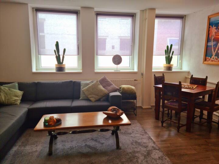 Ruim Appartement In Vlissingen - Dishoek