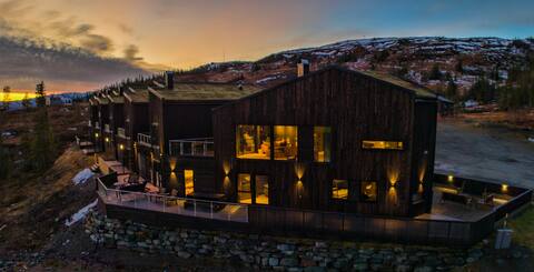 Unique cabin with high standard, view, ski-in/out