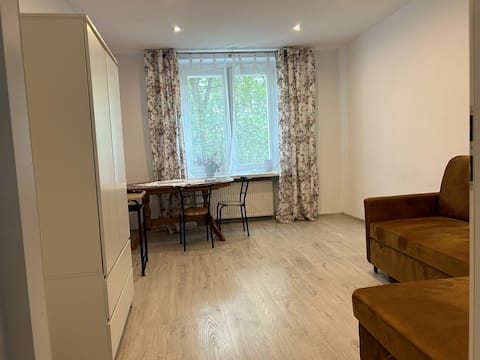 Apartment in the city center