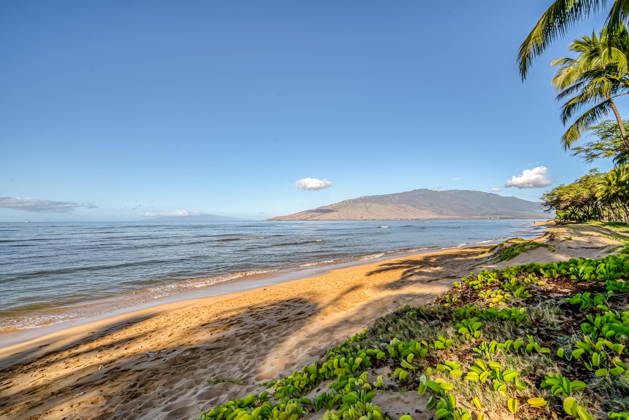 Condo in Kihei · ★4.74 · 2 bedrooms · 3 beds · 2 baths - Image 33