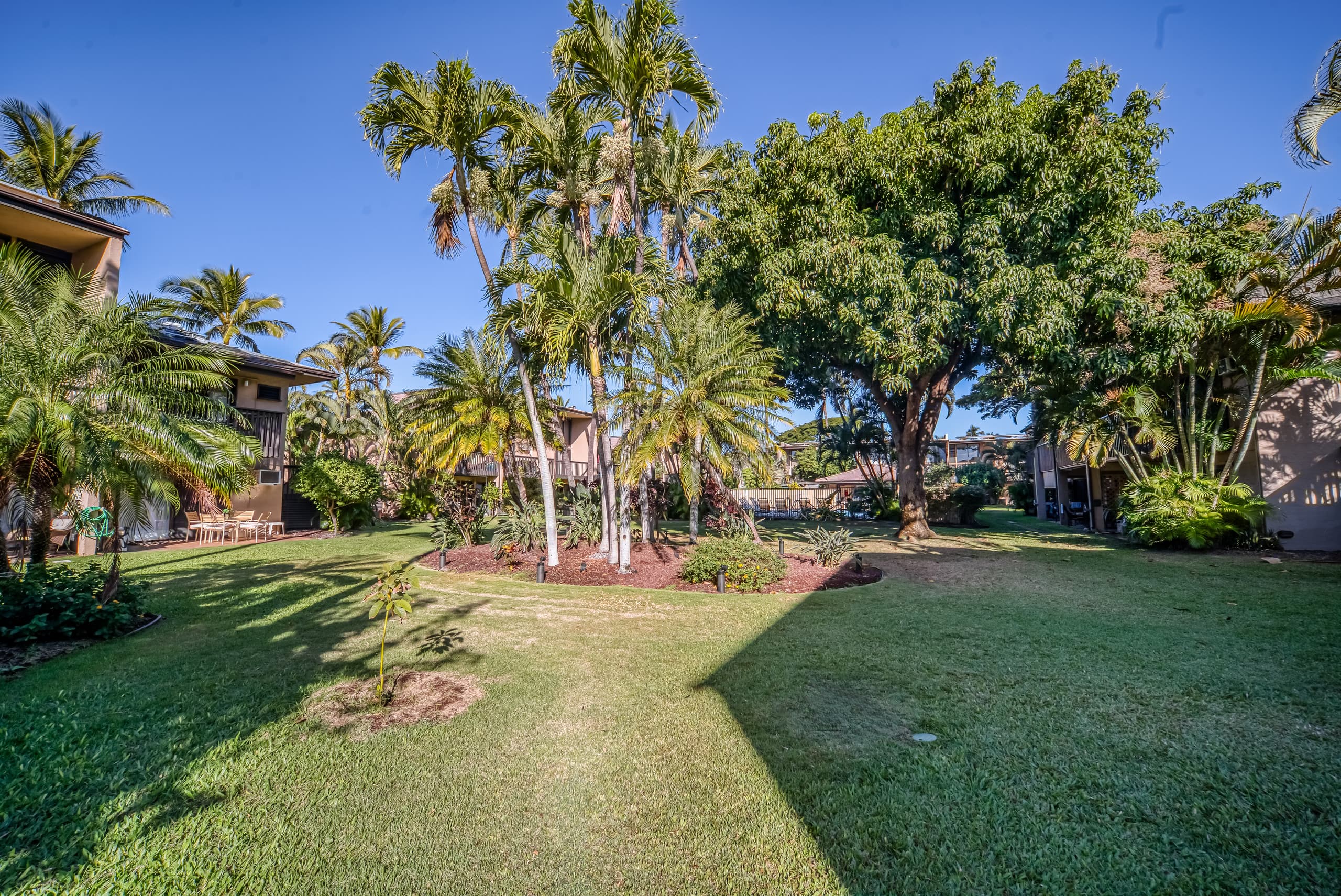 Condo in Kihei · ★4.74 · 2 bedrooms · 3 beds · 2 baths - Image 19