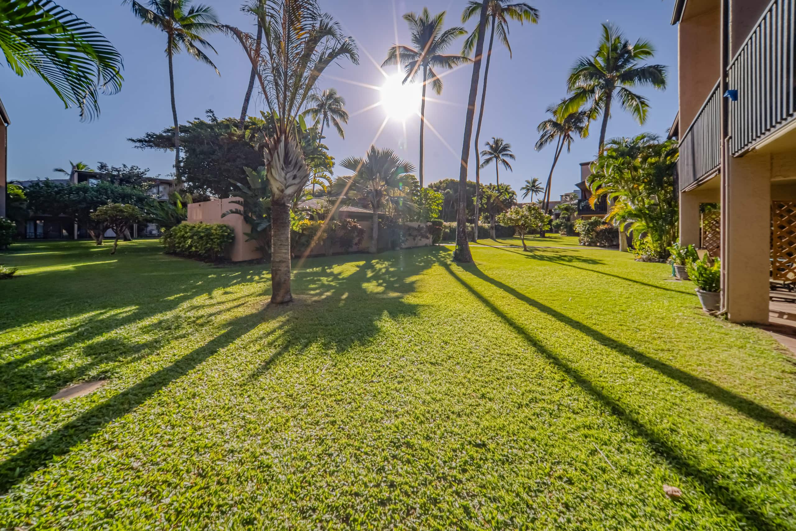 Condo in Kihei · ★4.74 · 2 bedrooms · 3 beds · 2 baths - Image 18