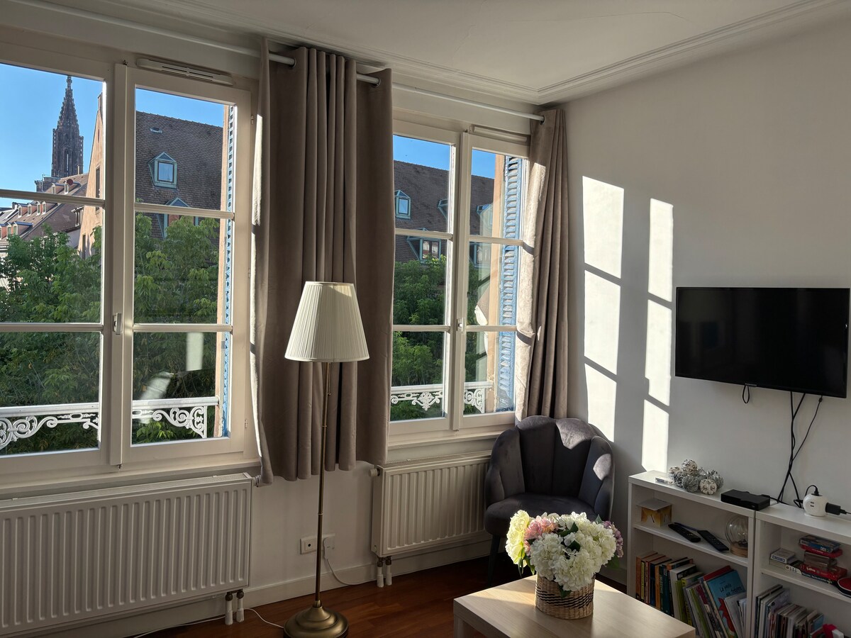 Top Airbnb: Charming 2 rooms in the city center of Strasbourg in Bourse Esplanade Krutenau