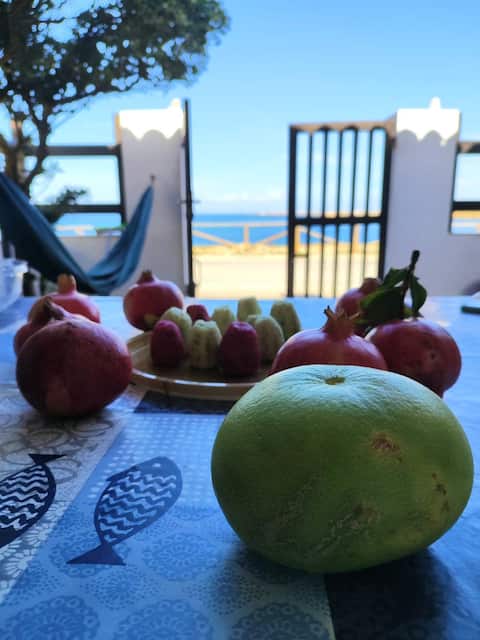 House with patio by the sea