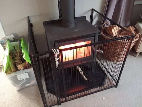 Cosy Family and Pet friendly beach house