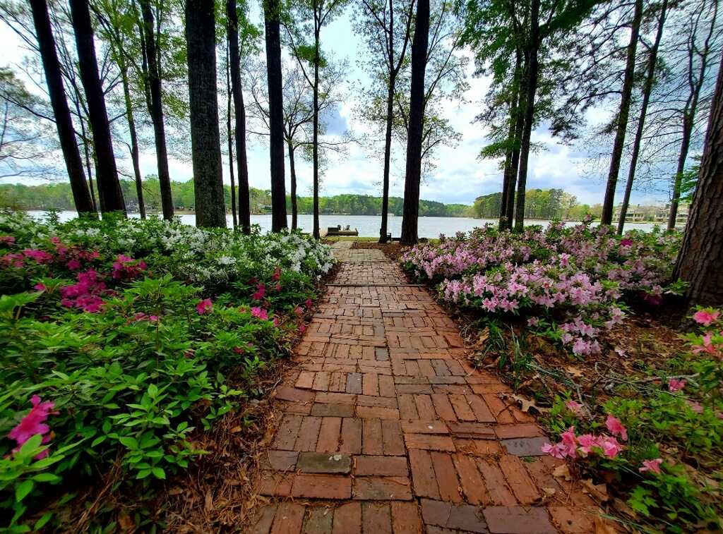 A brick pathway is flanked by vibrant pink and white flowers, leading through a lush green landscape to a serene view of the lake. Tall trees provide natural framing, with calm waters in the background reflecting the overcast sky.