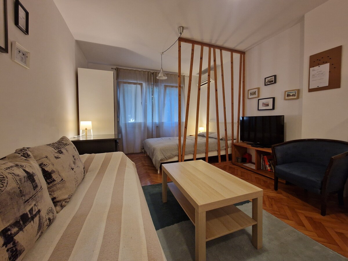 A studio apartment showcases a cozy living area with a striped sofa and a wooden coffee table. Light enters through a window draped with sheer curtains, illuminating the sleeping area separated by wooden slats. A television and framed pictures decorate the wall, adding character.