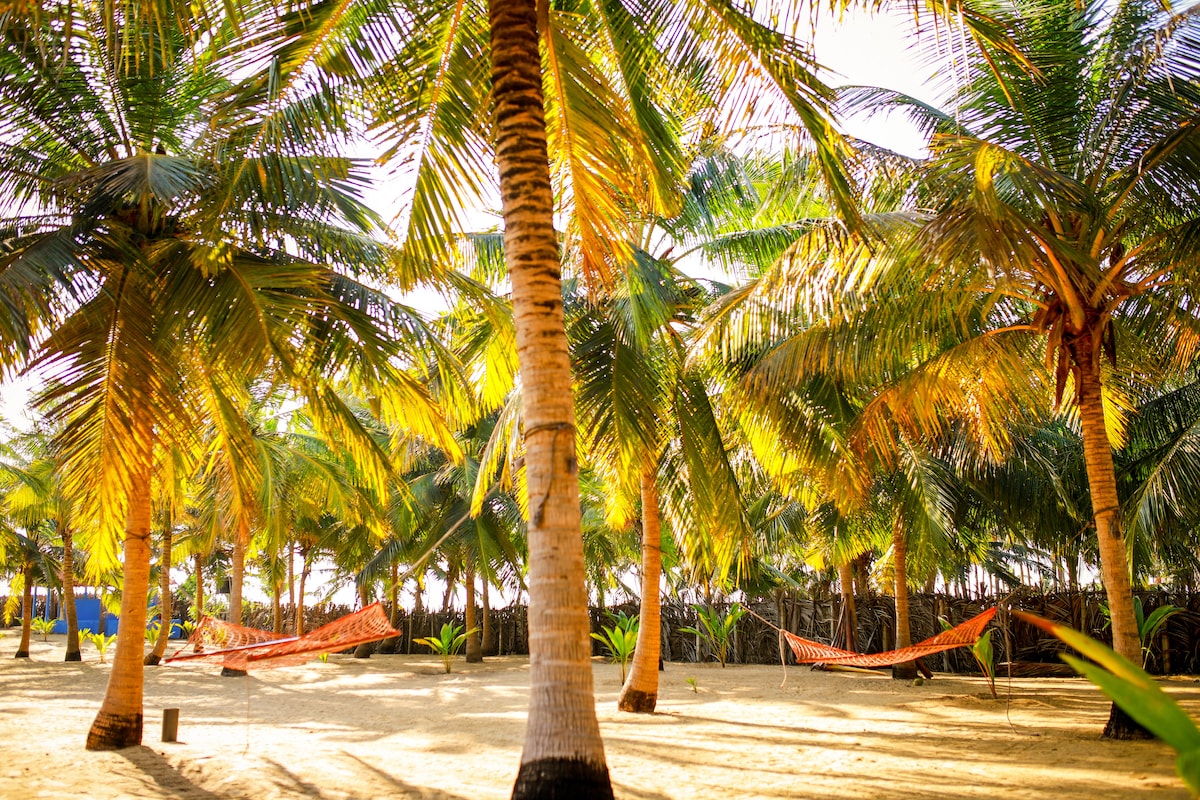 Lush green palm trees create a serene environment, providing shade over the sandy ground. A pair of hammocks is visible, gently swaying between trunks, inviting relaxation by the beach. Soft sunlight filters through the leaves, enhancing the tranquil setting.