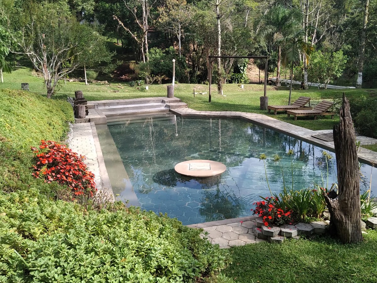 A natural swimming pool surrounded by lush greenery and vibrant flowers. Relaxing lounge chairs are positioned nearby, and pathways lead into the garden. Soft sunlight reflects off the water’s surface, enhancing the serene atmosphere of the outdoor space.