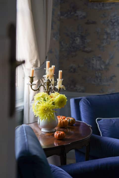 Romantic 19th century manor near Chenonceau-Constance