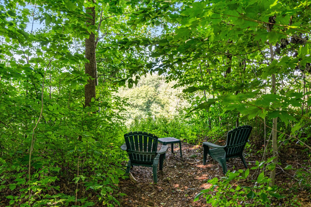 A serene seating area is nestled among lush green foliage, featuring two Adirondack chairs and a small table. Sunlight filters through the trees, illuminating the natural surroundings. The space invites relaxation while being surrounded by the beauty of nature.