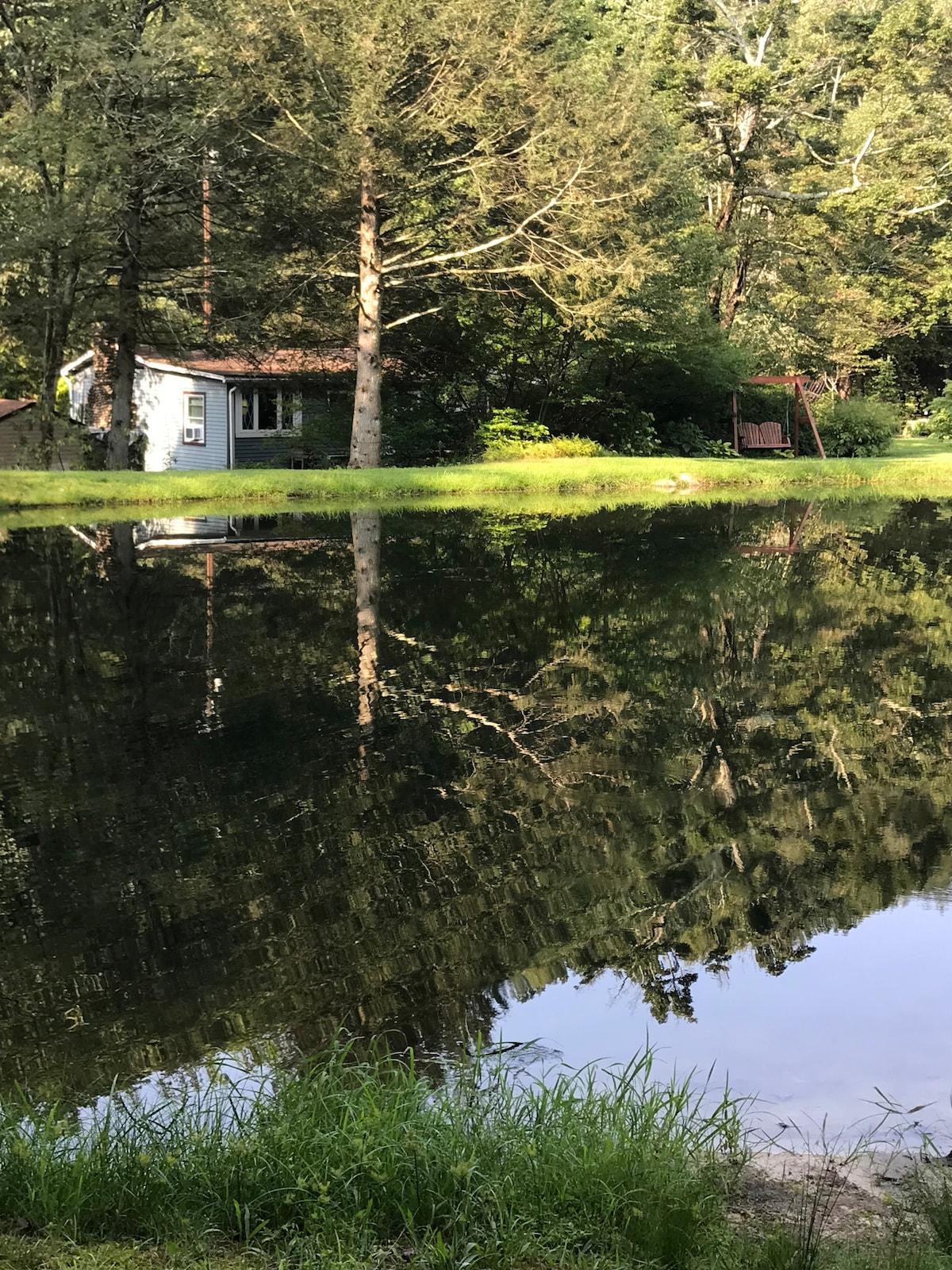 A serene pond reflects the surrounding trees and a small structure, creating a peaceful atmosphere. A wooden swing stands nearby on the shore, inviting relaxation. Lush green grass frames the water's edge, enhancing the natural beauty of the setting.