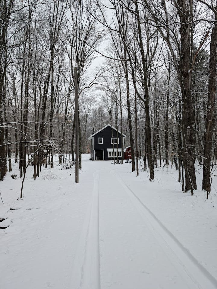 Quiet 3 bedroom wooded home in Baileys Harbor