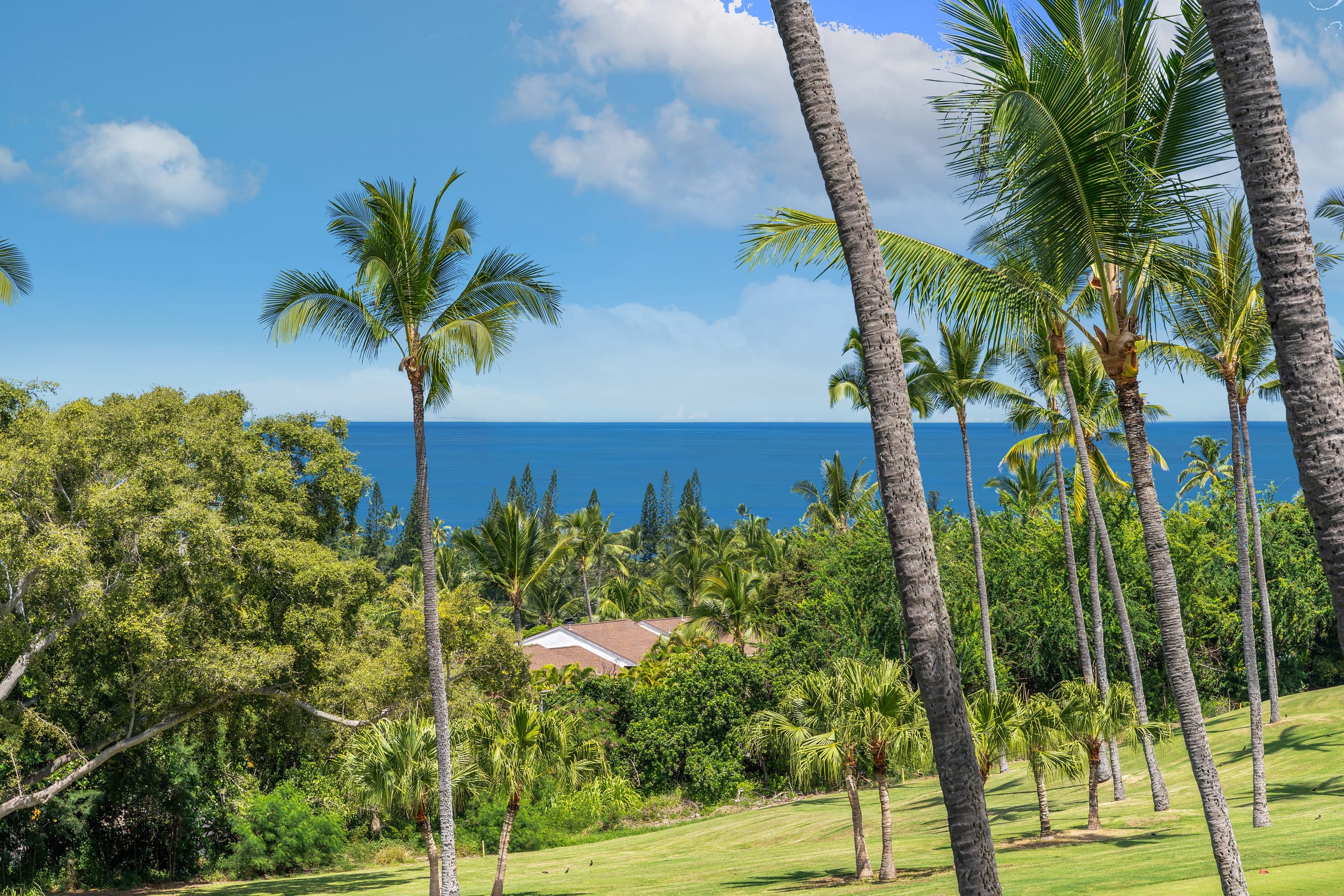Condo in Kailua-Kona · ★5.0 · 2 bedrooms · 2 beds · 2 private baths - Image 38