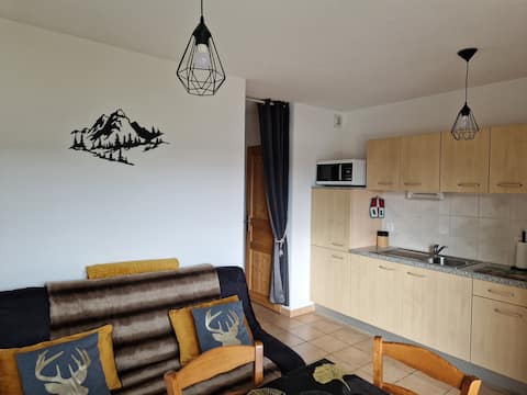 Successful Airbnb property: Charming apartment with a view. in Gérardmer