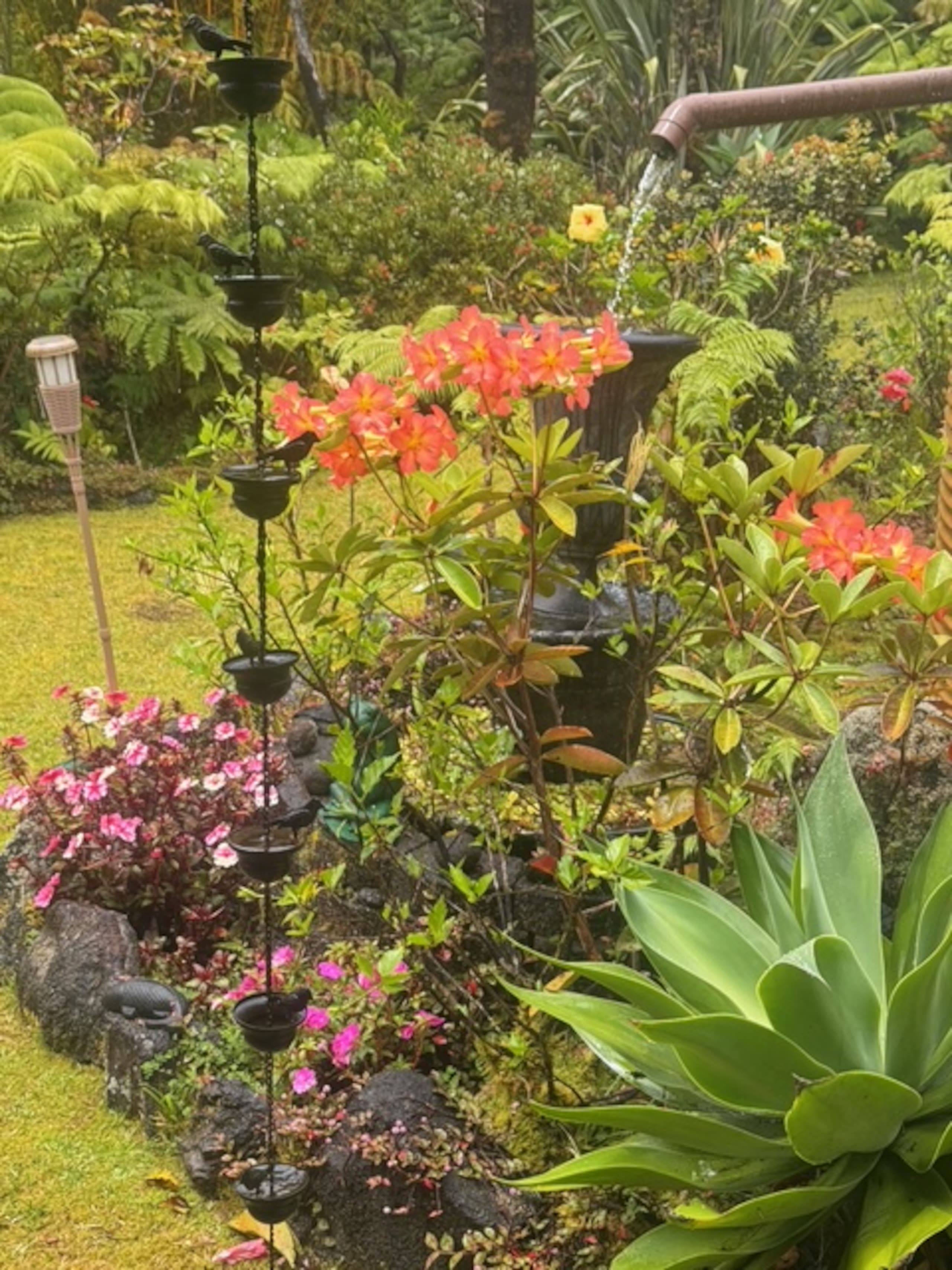 Home in Hawaii · ★4.98 · 1 bedroom · 1 bed · 1.5 private baths - Photo 20