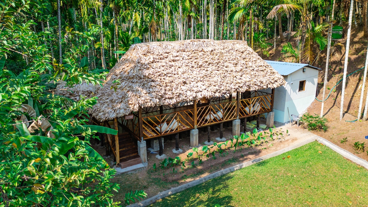 A spacious villa with a thatched roof is surrounded by lush trees. The building features an open, shaded patio with wooden railings, providing a relaxed seating area. Various plants frame the lower garden area, enhancing the natural setting.