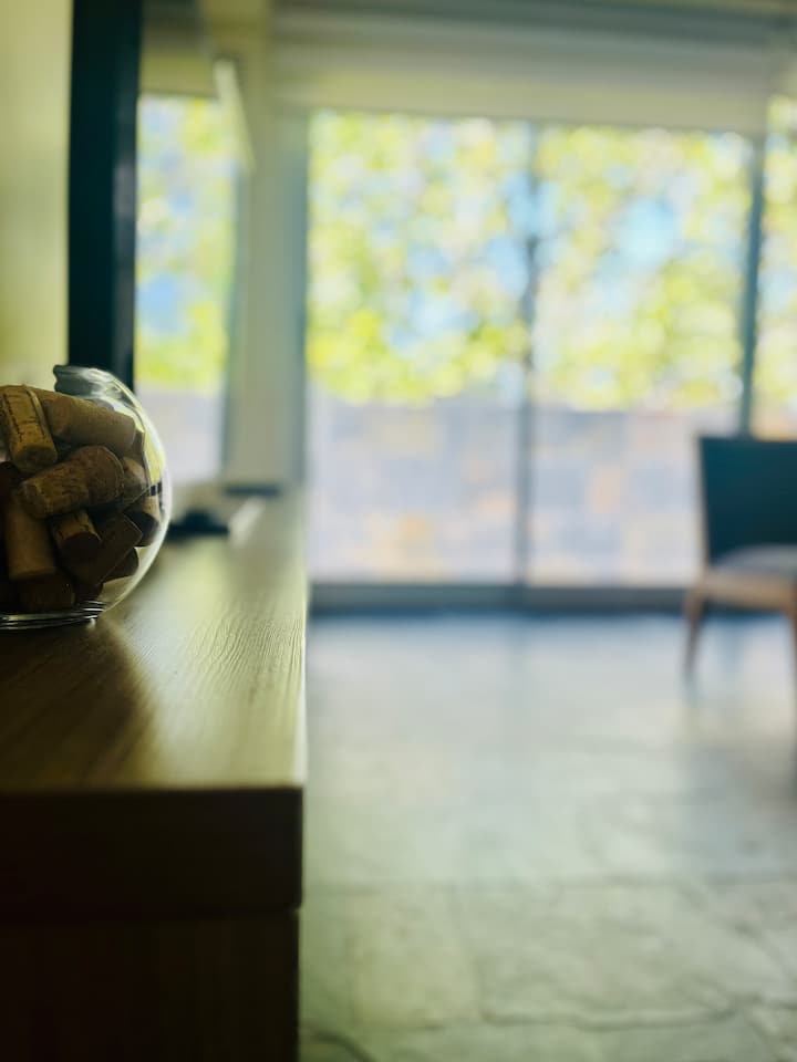 City Centre Luxury Flat And Rooftop Jacuzzi - Mendoza