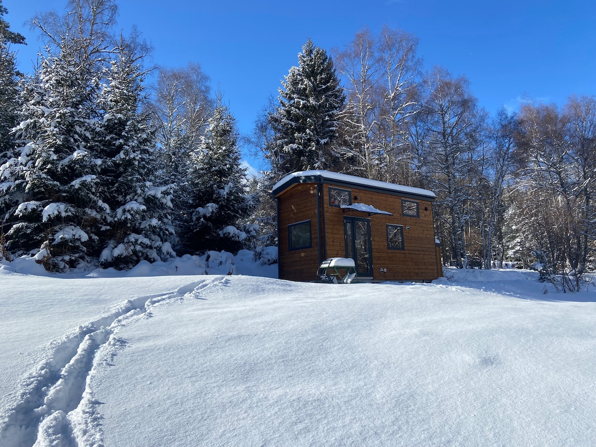 A tiny house is situated in a winter landscape, surrounded by snow-covered trees. The structure features large windows and a welcoming entrance. A soft layer of fresh snow blankets the ground, highlighting the peacefulness of the environment, with clear blue skies overhead.