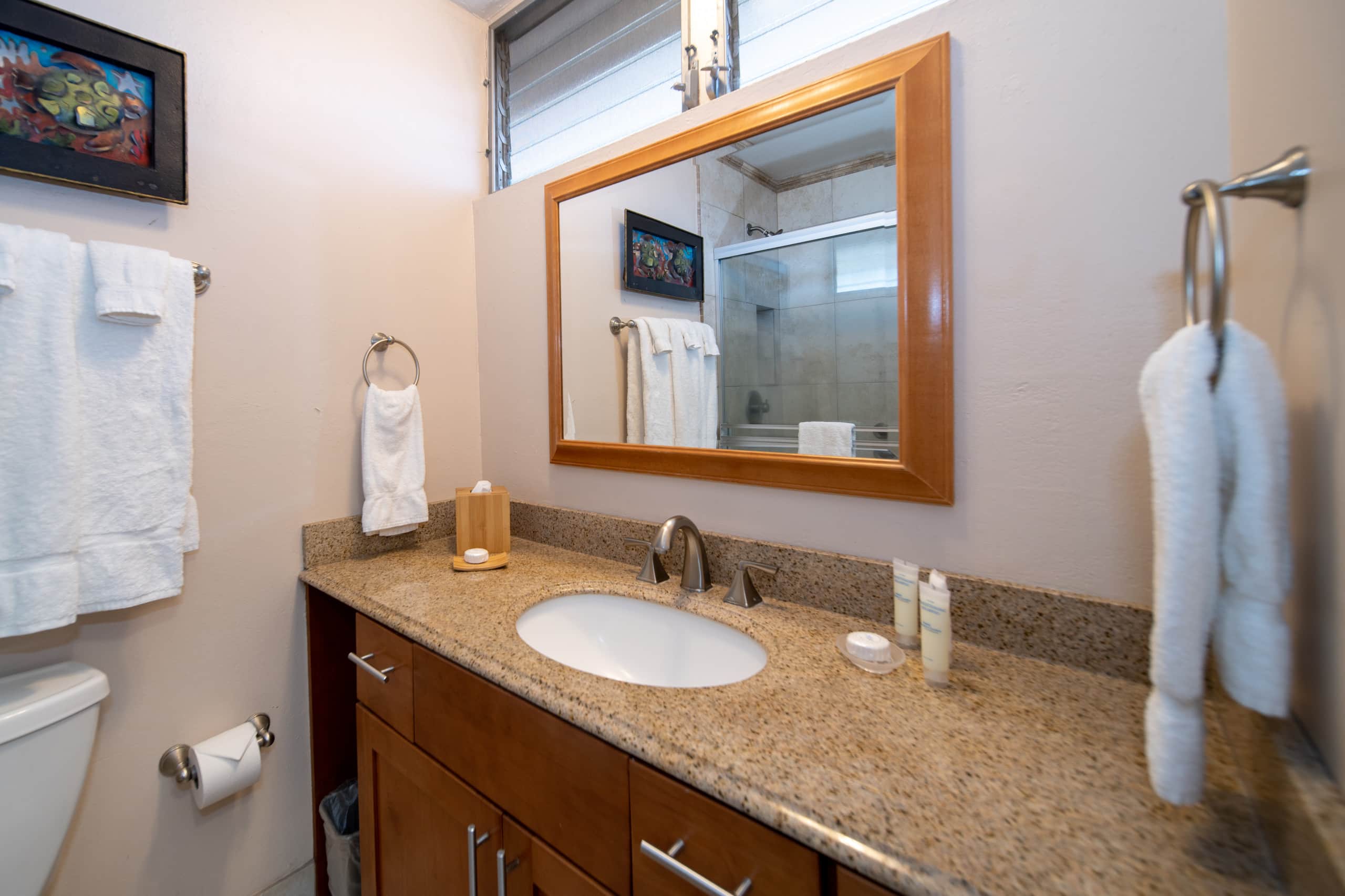 Royal Kahana Maui Ocean View Studio - Photo 6