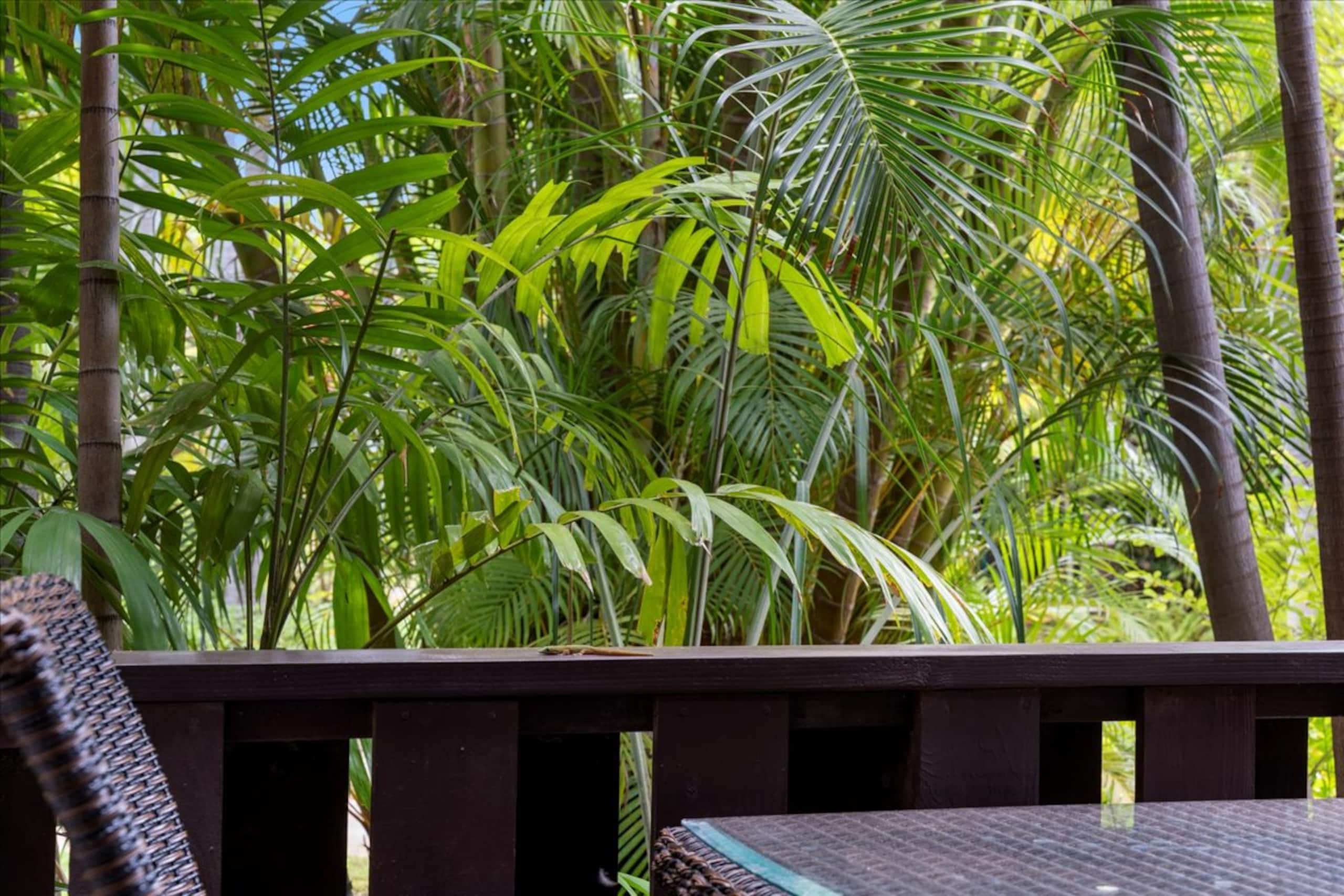 Condo in Kihei · ★4.96 · 1 bedroom · 2 beds · 1 bath - Image 52