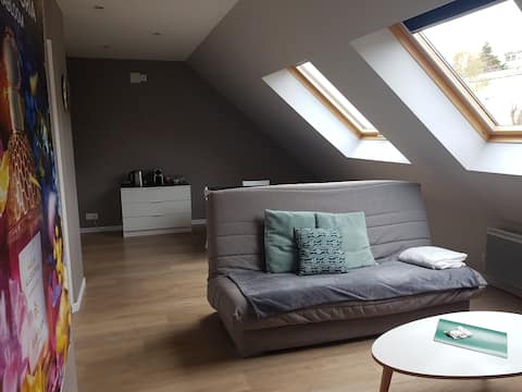 1 bedroom apartment, with independent garden