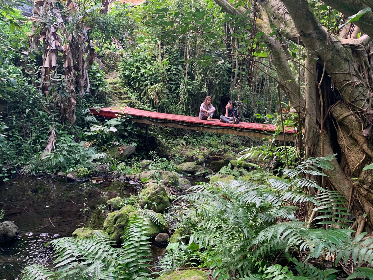 Two guests are seated on a red wooden bridge that crosses over a peaceful stream. Lush greenery surrounds them, including tall trees, ferns, and tropical plants. The serene atmosphere is enhanced by the gentle sounds of the flowing water.