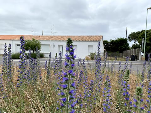 St Jean de Monts  New house  15 pers. 6 ch.