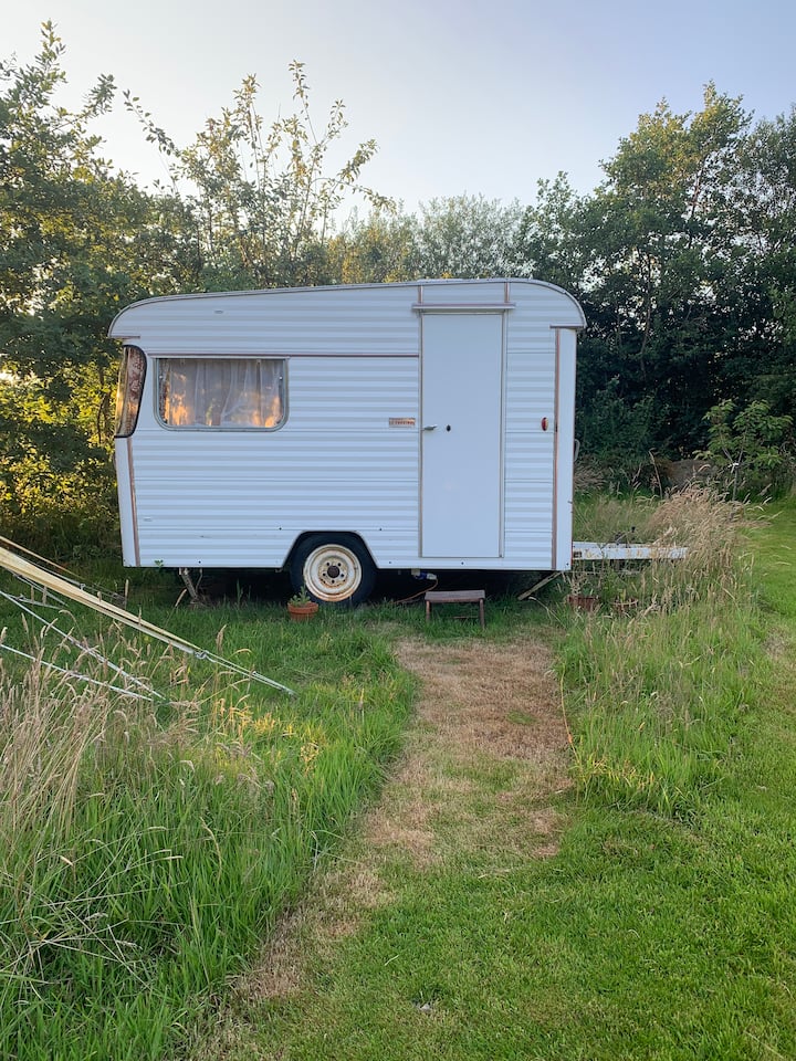 Chumba cha kulala 11